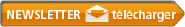 newsletter de l'IAE