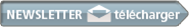 newsletter de l'IAE